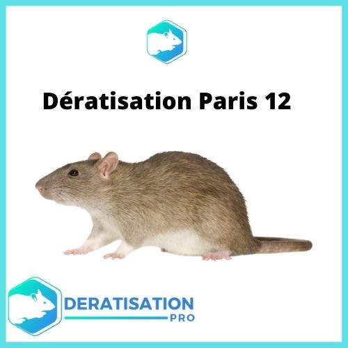 Dératisation-Paris-12